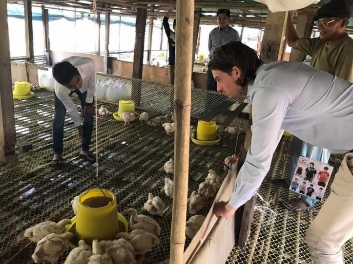 Technical Support to Myanmar Local Broiler Farms 4