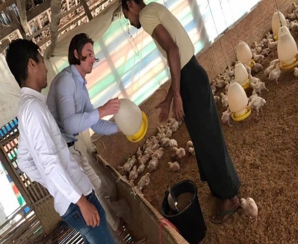 Technical Support to Myanmar Local Broiler Farms 6
