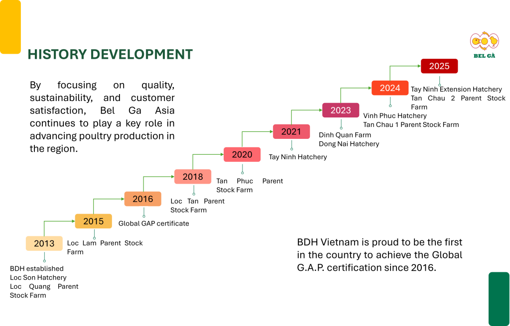 History and Development - Bel Gà